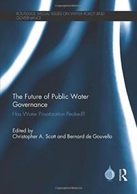 Produktbild: The Future of Public Water Governance