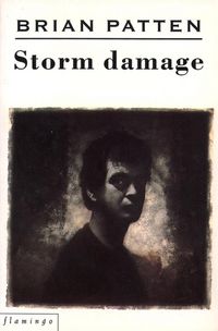 Produktbild: Patten, B: Storm Damage