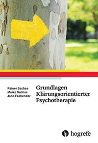 Bild vom Artikel Grundlagen Klärungsorientierter Psychotherapie vom Autor Rainer Sachse