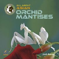 Produktbild: All about Asian Orchid Mantises
