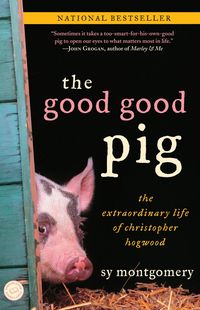 Produktbild: The Good Good Pig