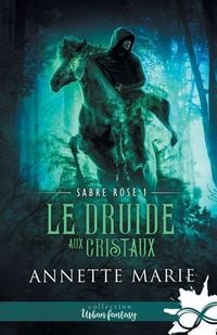 Produktbild: Le Druide aux cristaux