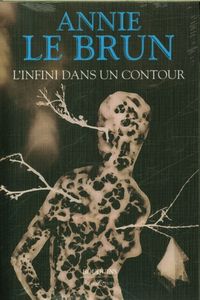 Produktbild: L'infini dans un contour