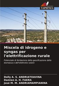 Produktbild: Miscela di idrogeno e syngas per l'elettrificazione rurale