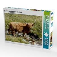 Produktbild: CALVENDO Puzzle Scottish Highland Kuh stehend im Bach | 1000 Teile Lege-Gr&ouml;&szlig;e 64x48cm Foto-Puzzle f&uuml;r gl&uuml;ckliche Stunden