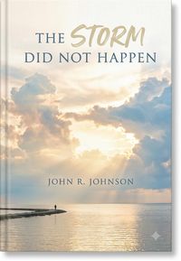 Produktbild: The Storm Did Not Happen