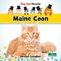 Produktbild: Maine Coon