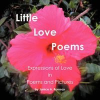 Produktbild: Little Love Poems
