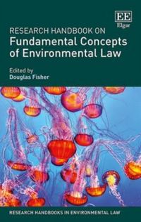 Produktbild: Research Handbook on Fundamental Concepts of Environmental