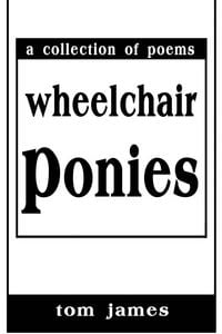 Produktbild: Wheelchair Ponies