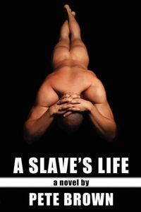 Produktbild: A Slave's Life