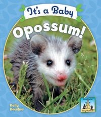 Produktbild: Its a Baby Opossum