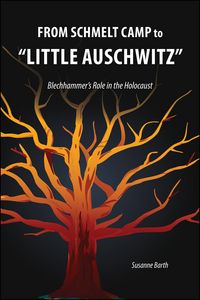 Produktbild: From Schmelt Camp to "Little Auschwitz"