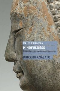 Produktbild: Introducing Mindfulness