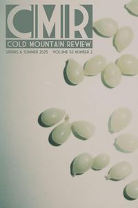 Produktbild: Cold Mountain Review