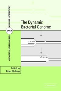 Bild vom Artikel Dynamic Bacterial Genome vom Autor Peter (University College London) Mullany
