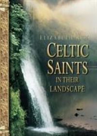 Produktbild: Elizabeth Rees: Celtic Saints in Their Landscape