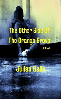 Produktbild: The Other Side Of The Orange Grove