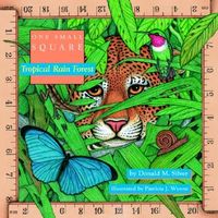 Produktbild: Tropical Rain Forest