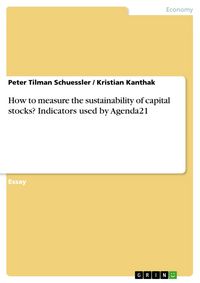 Produktbild: How to measure the sustainability of capital stocks? Indicators used by Agenda21