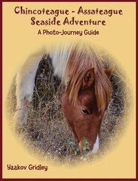 Produktbild: Chincoteague-Assateague Seaside Adventure