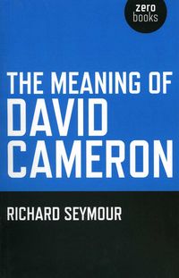Produktbild: The Meaning of David Cameron