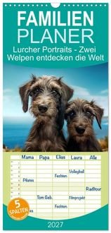 Produktbild: Familienplaner 2027 - Lurcher Portraits - Zwei Welpen entdecken die Welt mit 5 Spalten (Wandkalender, 21 x 45 cm) CALVENDO