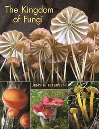 Produktbild: The Kingdom of Fungi