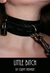 Produktbild: Little Bitch (Puppies and Ponies, #3)