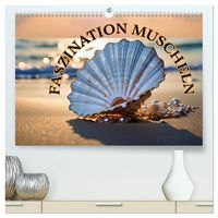 Produktbild: Faszination Muscheln (hochwertiger Premium Wandkalender 2026 DIN A2 quer), Kunstdruck in Hochglanz