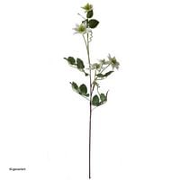 Produktbild: HTI-Living Fr&uuml;hlingsblume Wei&szlig; Kunstblume Flora Fr&uuml;hlingsblume Wei&szlig; Kunstblume Flora