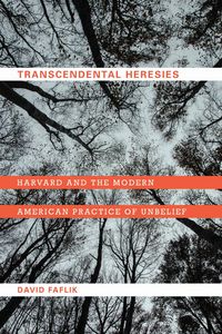 Produktbild: Transcendental Heresies