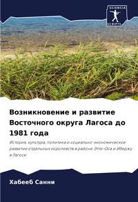 Produktbild: Vozniknowenie i razwitie Vostochnogo okruga Lagosa do 1981 goda