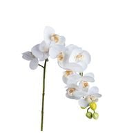 Produktbild: formano Orchideenzweig 80 cm Wei&szlig; Orchideenzweig 80 cm Wei&szlig;
