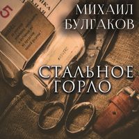 Produktbild: The Stee Windpipe