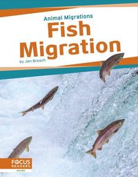 Produktbild: Fish Migration