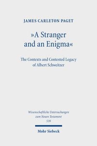 Produktbild: A Stranger and an Enigma