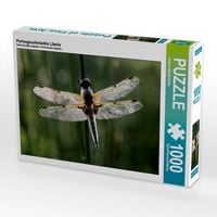 Produktbild: Perlengeschm&uuml;ckte Libelle (Puzzle)