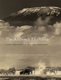 Produktbild: The Amboseli Elephants