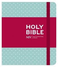 Produktbild: NIV Journalling Mint Polka Dot Cloth Bible