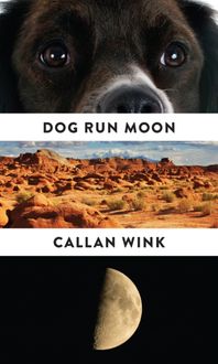 Bild vom Artikel Dog Run Moon vom Autor Callan Wink