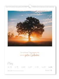 Wochenkalender 2024 LebensWeisheiten