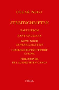 Produktbild: Werkausgabe Bd. 18 / Streitschriften