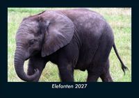 Produktbild: Elefanten 2027 Fotokalender DIN A5