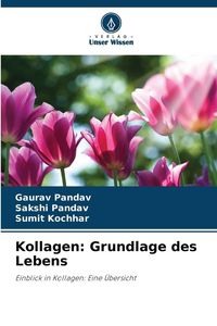 Produktbild: Kollagen: Grundlage des Lebens