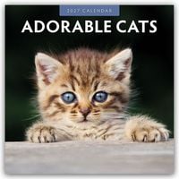 Produktbild: Adorable Cats &ndash; Liebenswerte Katzen 2027 &ndash; 16-Monatskalender