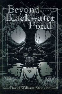 Produktbild: Beyond Blackwater Pond