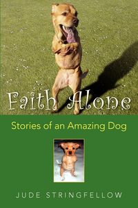 Produktbild: Stringfellow, J: Faith Alone