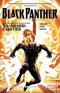 Bild vom Artikel Black Panther, Book 2: A Nation Under Our Feet vom Autor Ta-Nehisi Coates