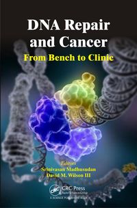 Produktbild: DNA Repair and Cancer